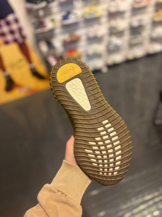 Yeezy 350 earth