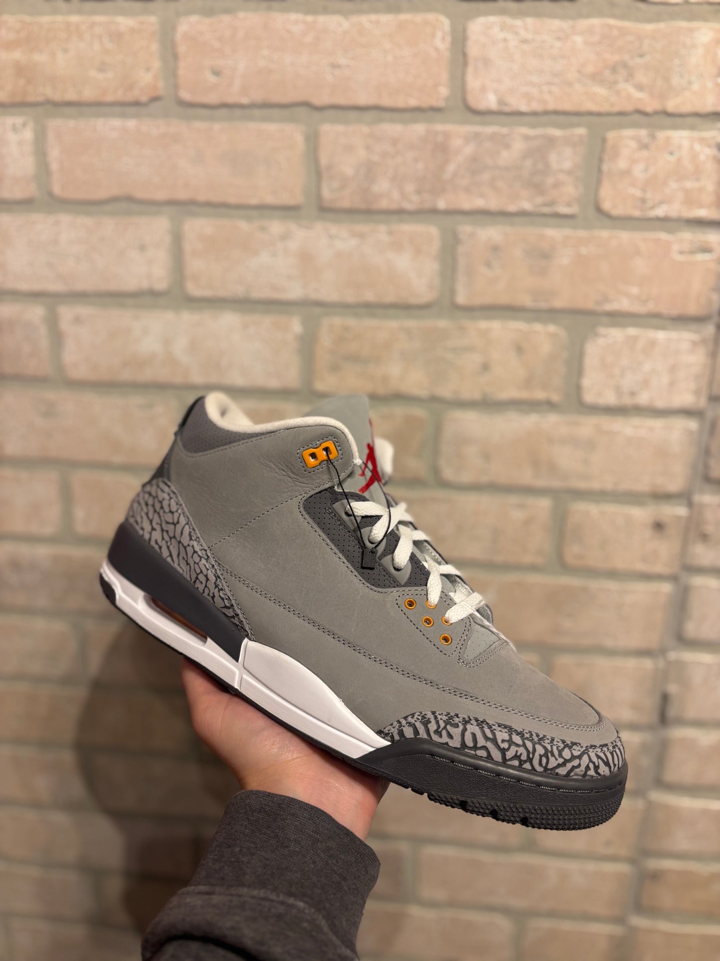Jordan 3 “cool grey”