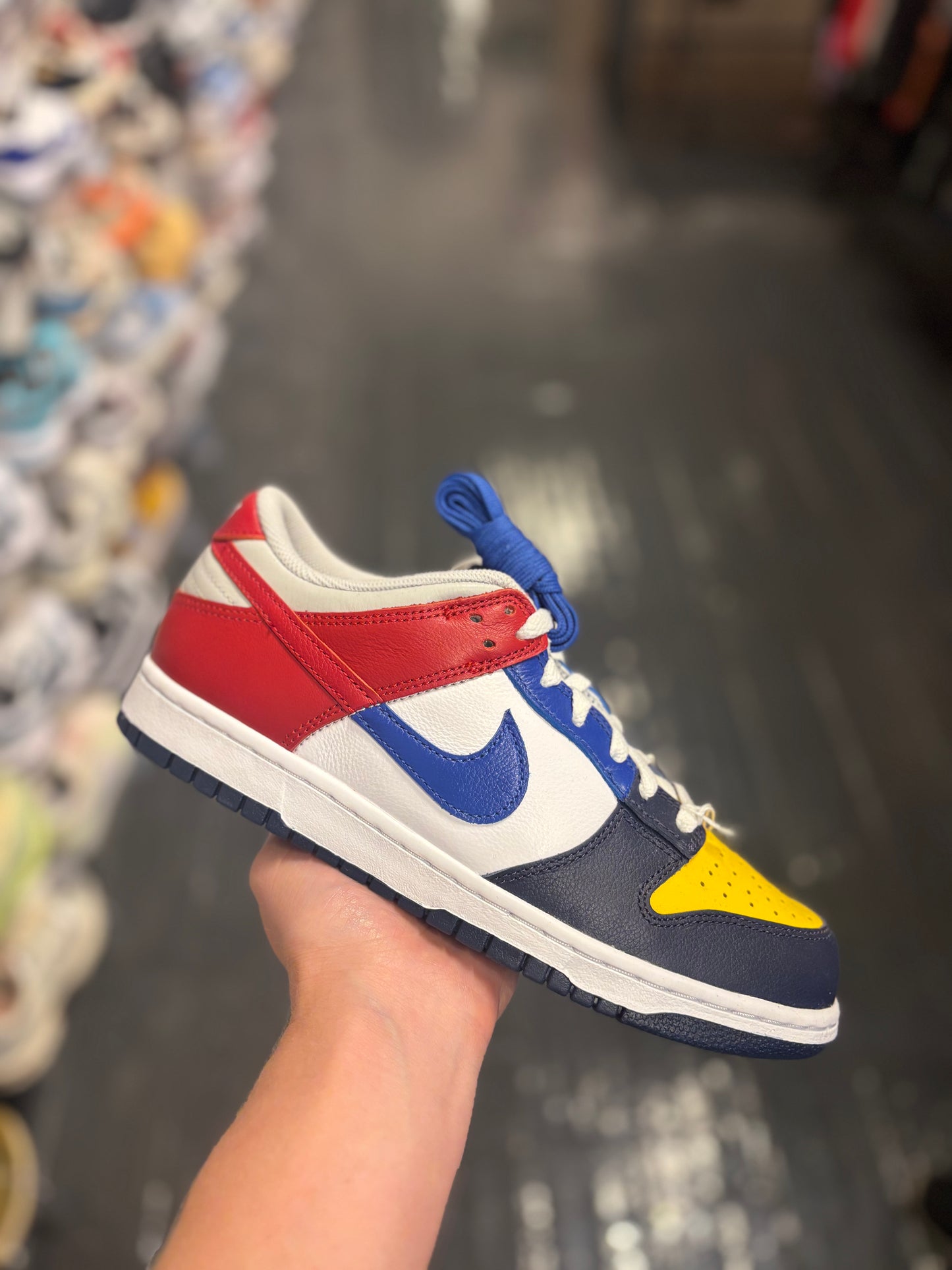 Nike dunk low what the