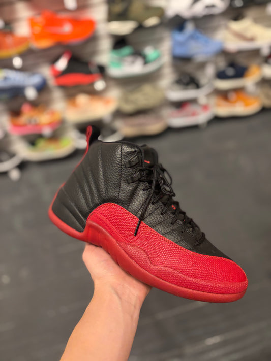 Jordan 12 flu game