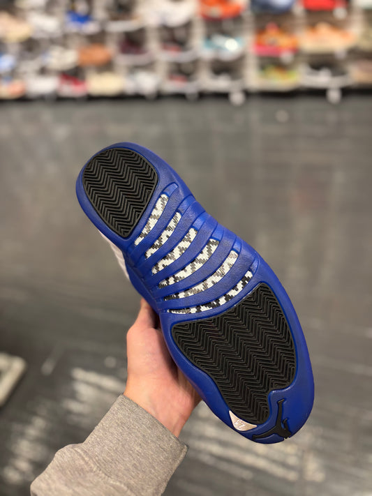 Jordan 12 blueberry