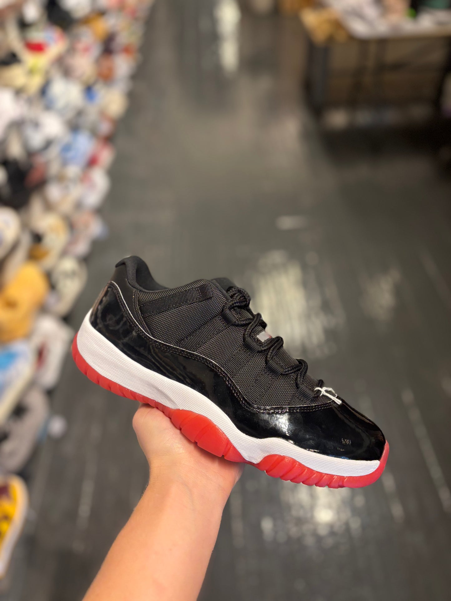 Jordan 11 low bred